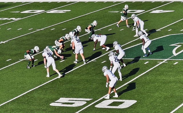 刺的防线 刺的防线